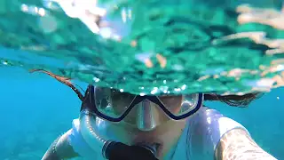 Yemen - Scocotra Island